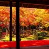 紅葉2017　京都で紅葉が見れるお勧めスポットは？